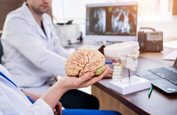 12 comportamentos analisados durante uma perícia de interdição